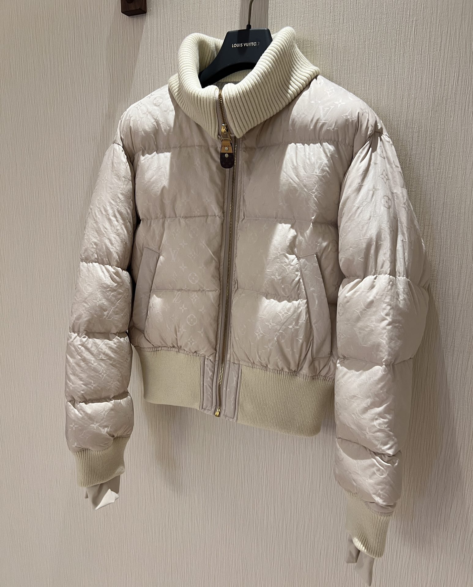 Louis Vuitton Down Jackets